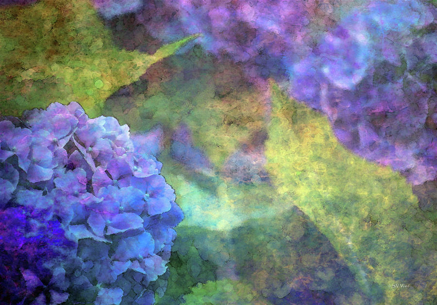 Violet Hydrangea 3637 IDP_2 Photograph by Steven Ward