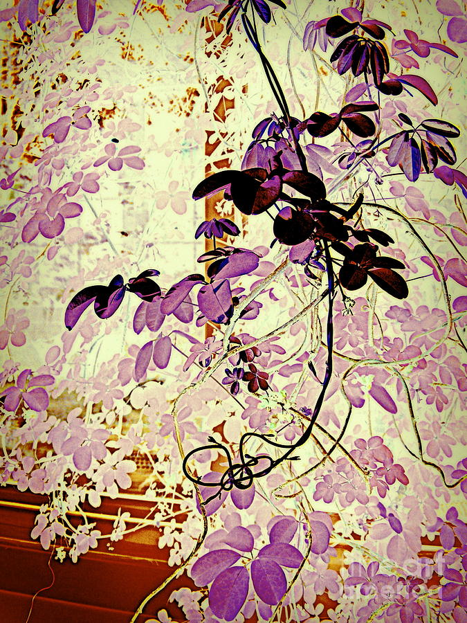 Violet Leaves Digital Art by Nancy Kane Chapman