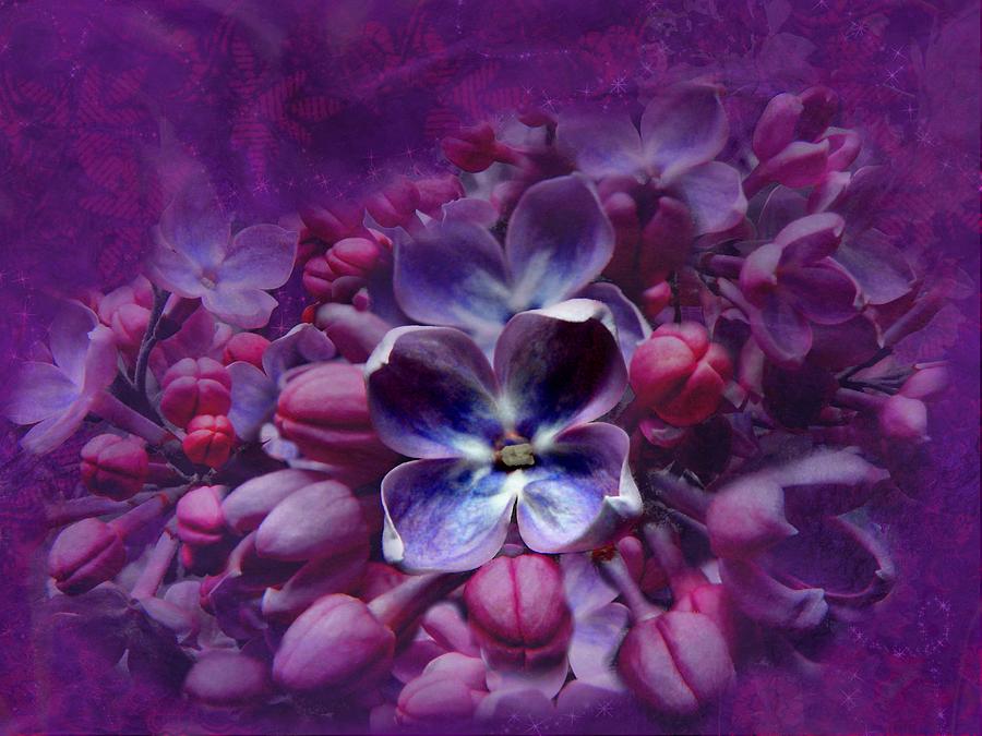 Abstract Photograph - Violet Lilac by Scott Hovind
