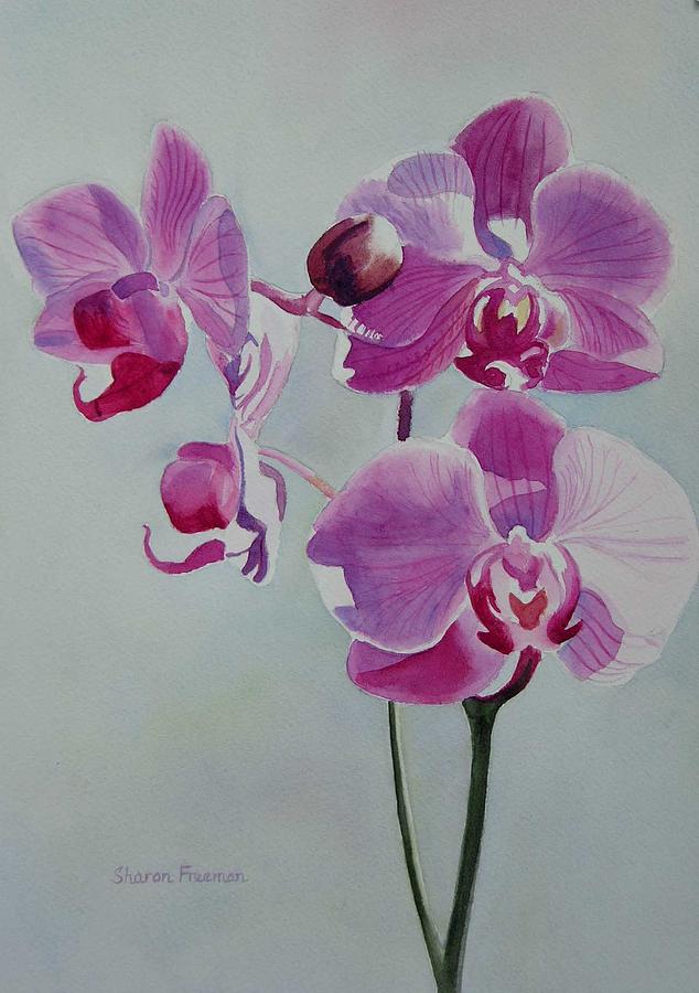 Orchid Painting - Violet Orchid by Sharon Freeman