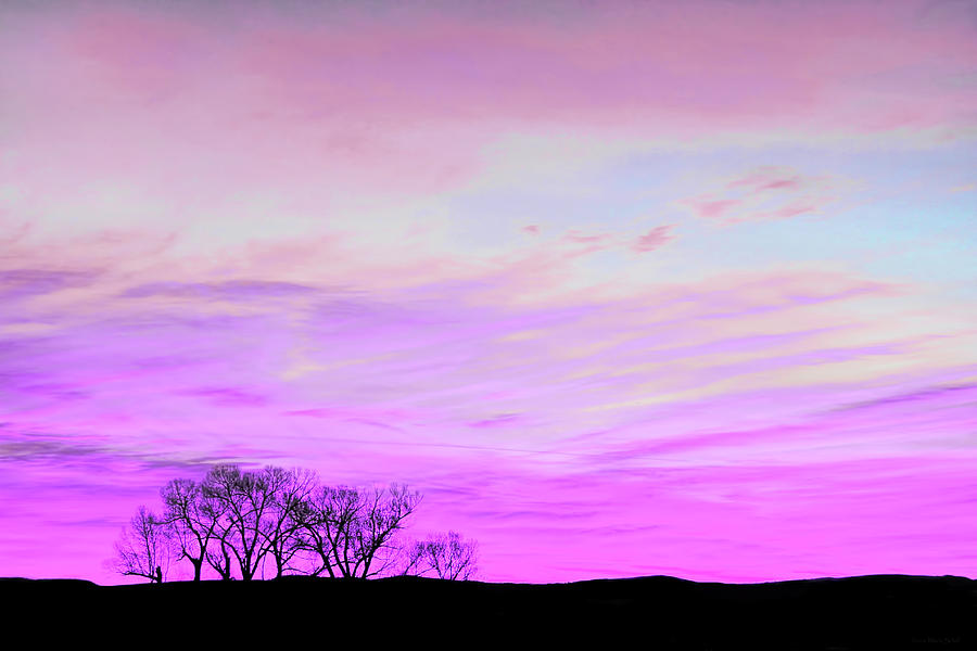 Violet Skies Photograph by Jennie Marie Schell