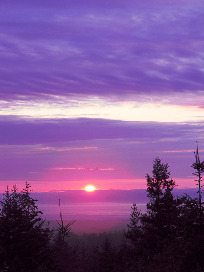 Violet Sunset Iii Photograph By Lisa Beth Mckinney Photography Fine Art America