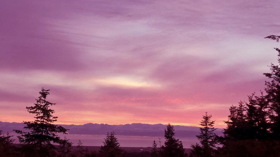 Sunset Photograph - Violet Sunset IV by Lisa Beth McKinney Photography