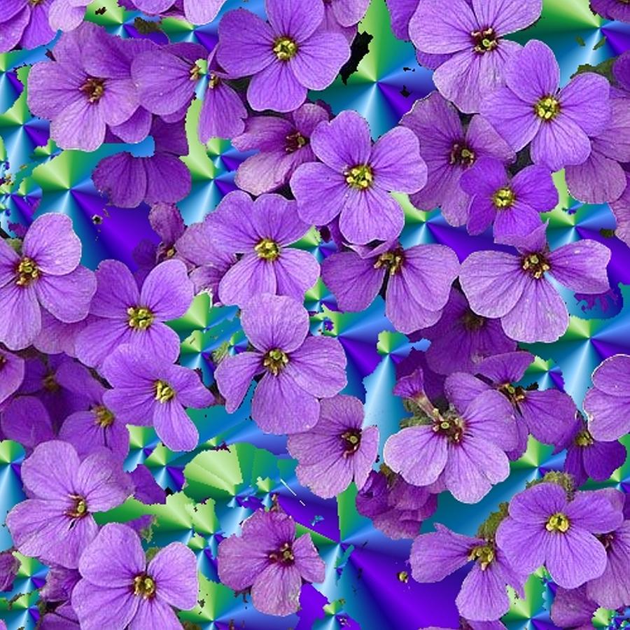 Violet Digital Art by Susan Oliver