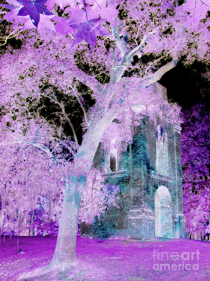 Inversion Photograph - Violet Tree and Belltower by Melissa McInnis