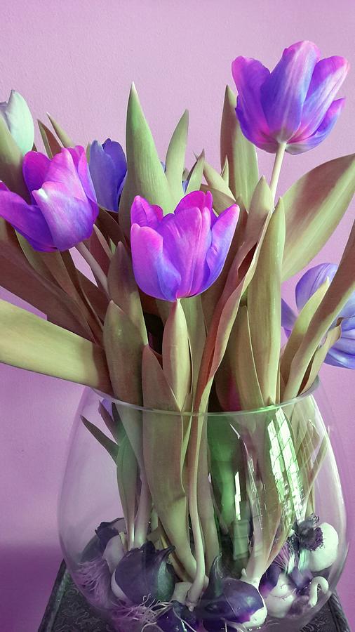 Violet Tulips Photograph by Vijay Sharon Govender