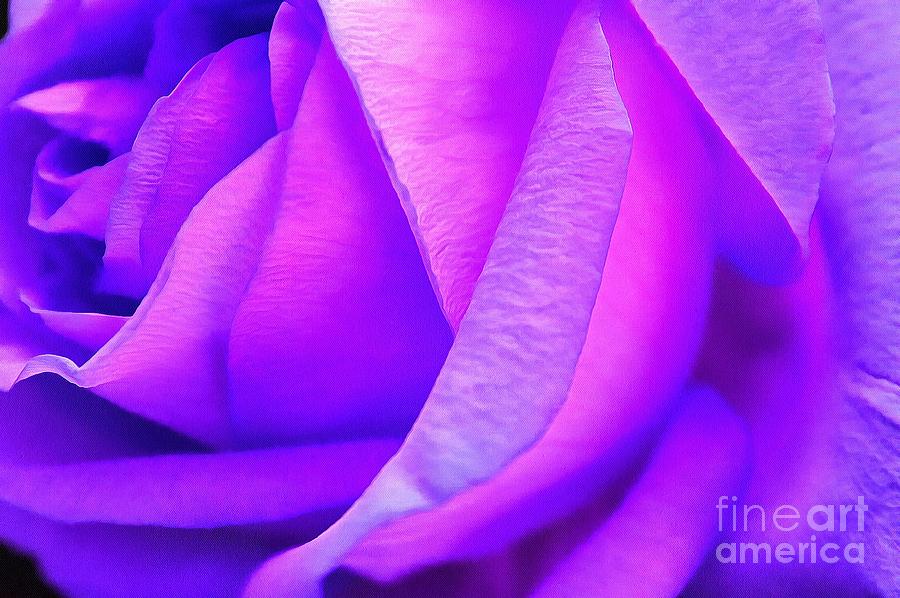 Nature Photograph - Violet Whispers by Krissy Katsimbras