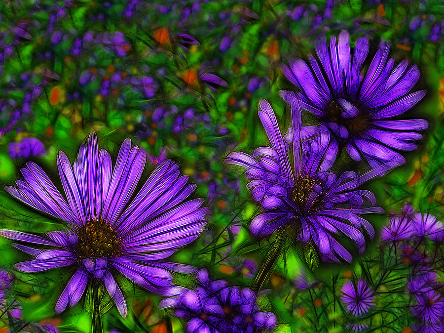 Flower Digital Art - Violet Wildflowers by Jean-Marc Lacombe