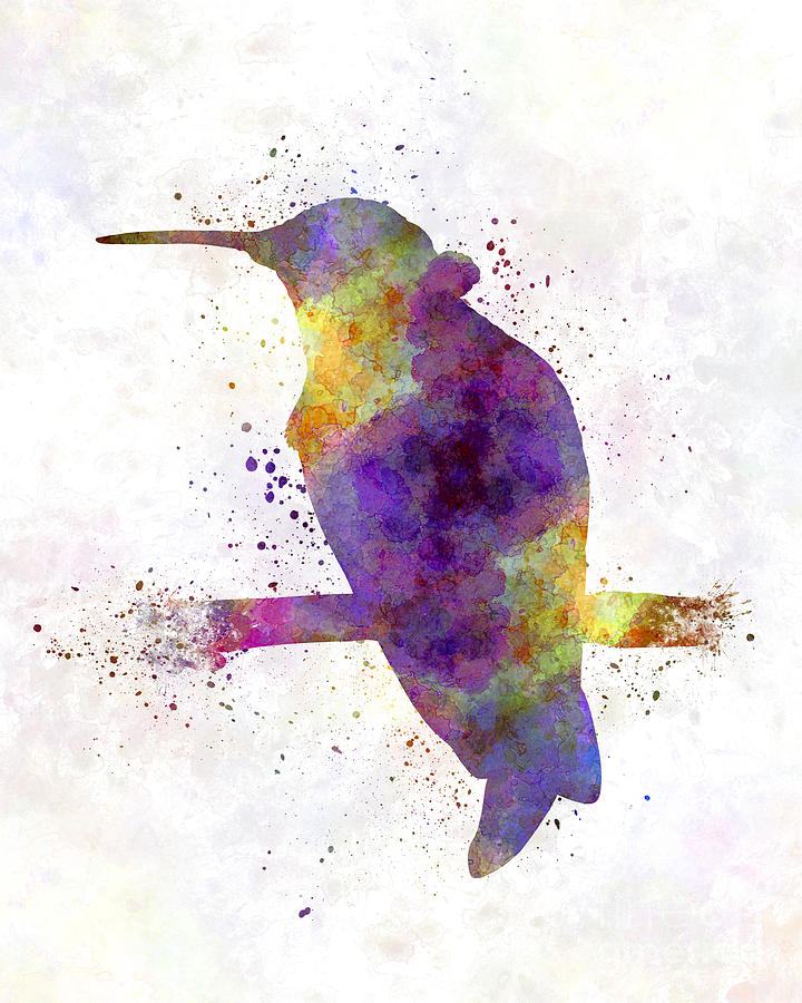 Hummingbird 01 in watercolor Painting by Pablo Romero