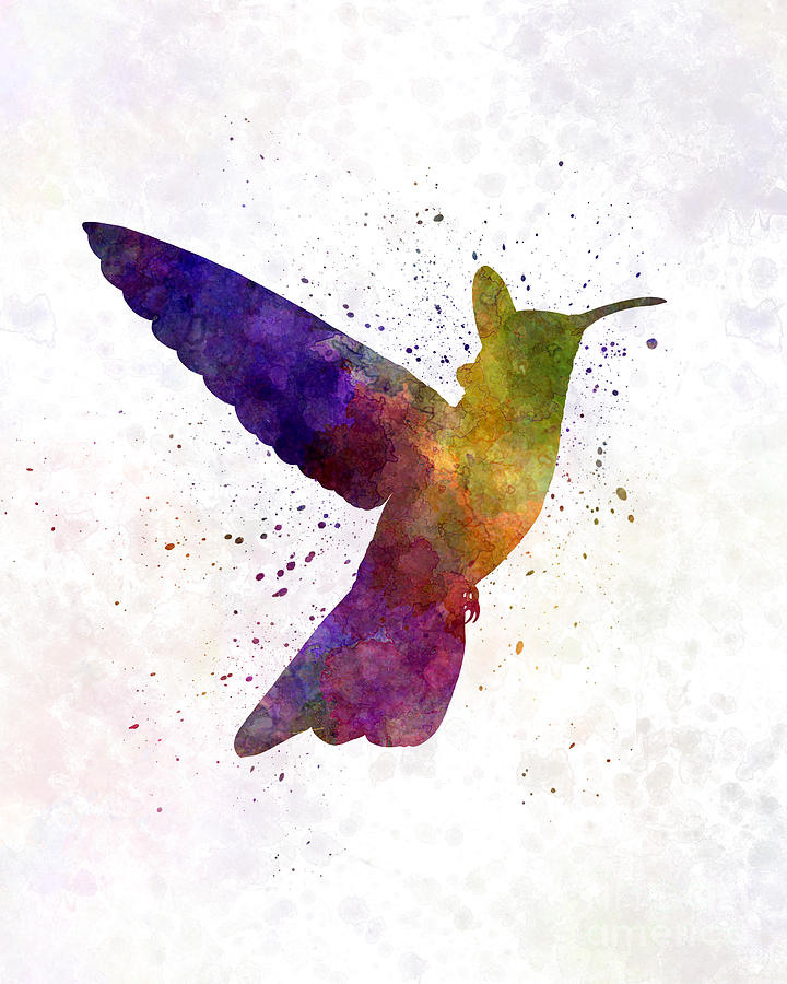 Hummingbird 02 in watercolor Painting by Pablo Romero