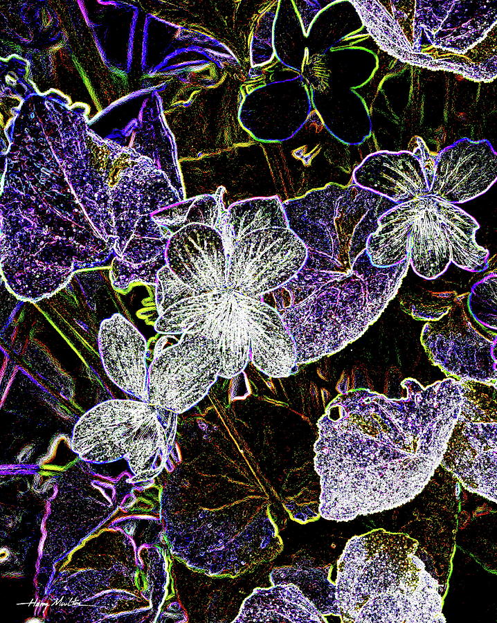 Violets A Pyrography by Harry Moulton