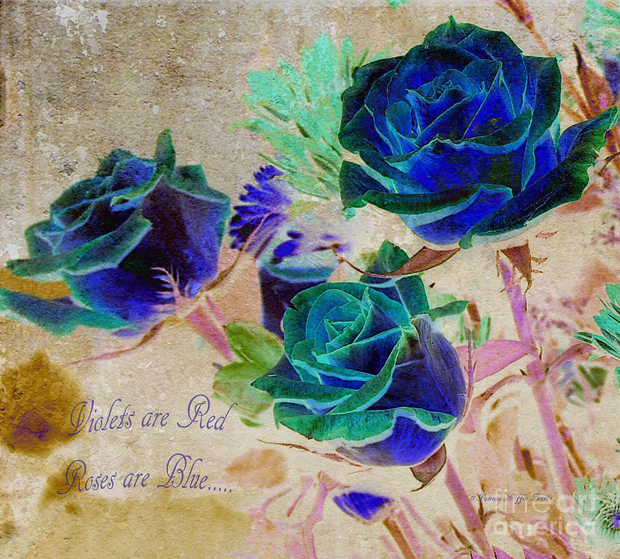 Rose Photograph - Violets are Red- Roses are Blue by Patricia Griffin Brett