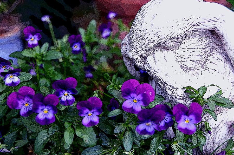 Flower Digital Art - Violets by Moonlight by Lorrie Morrison