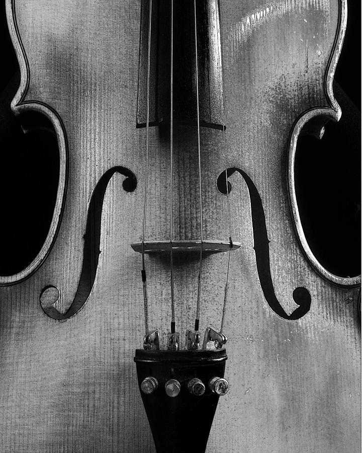 Violin # 2 BW Photograph by Jim Mathis