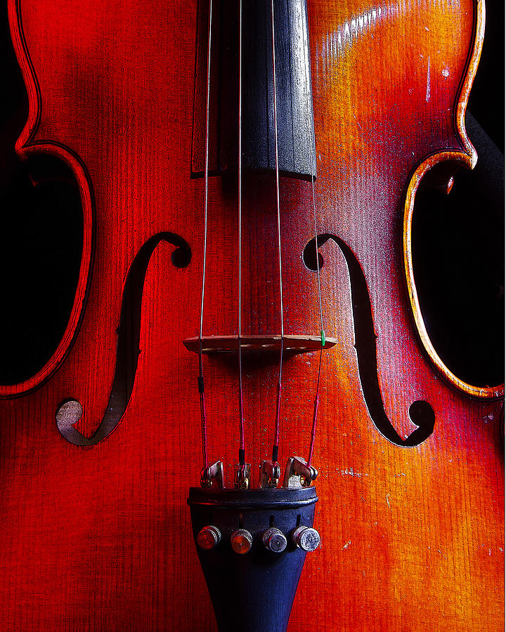 Violin # 2 Photograph by Jim Mathis
