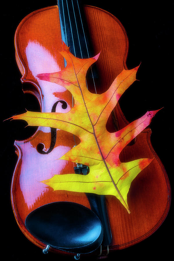 Violin And Autumn Leaf Photograph by Garry Gay