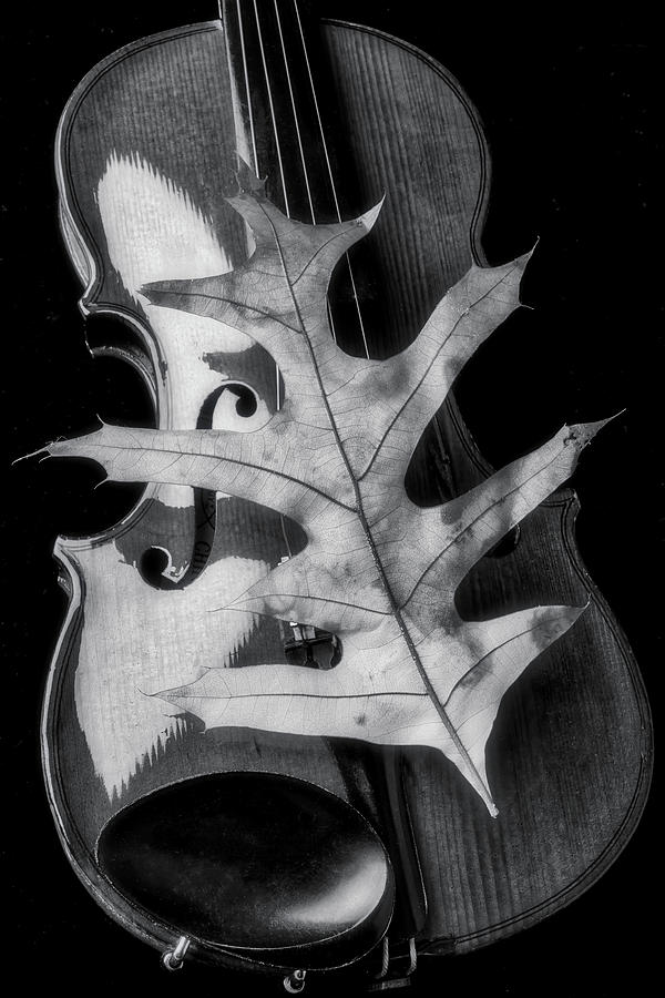 Violin And Autumn Leaf In Black And White Photograph by Garry Gay