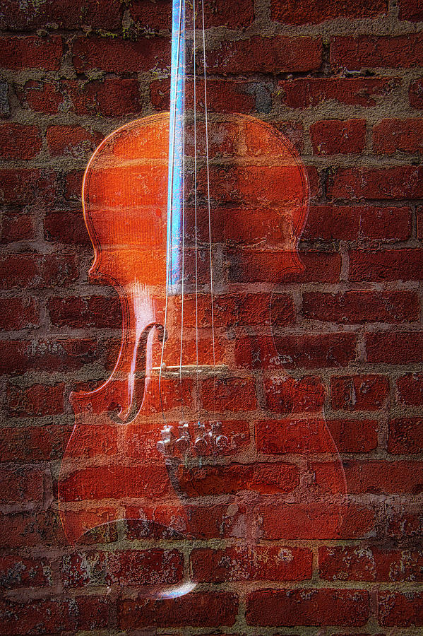 Violin And Brick Wall Photograph by Garry Gay