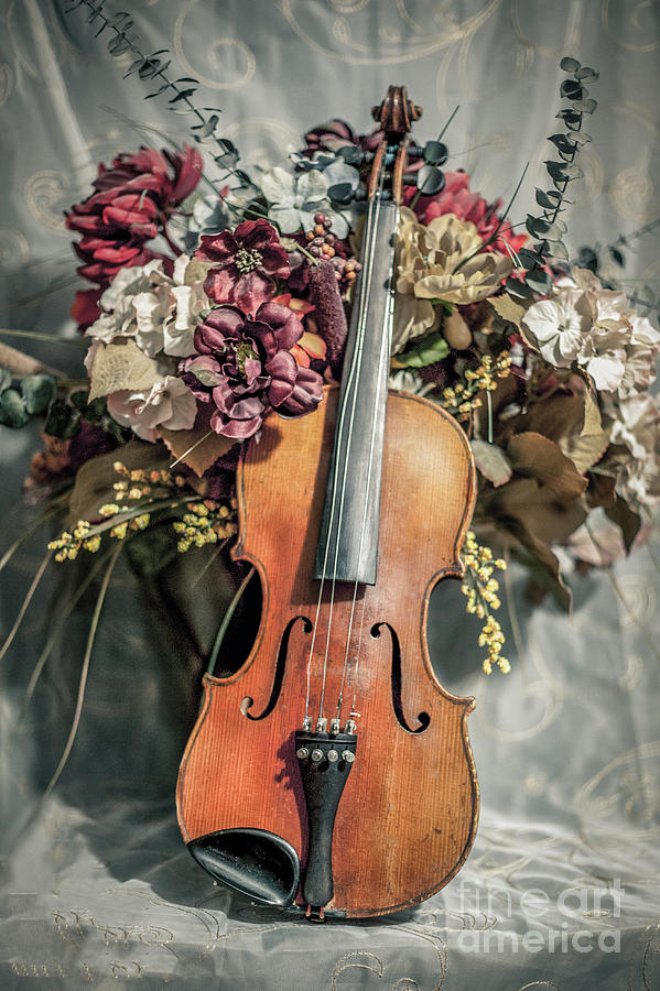 Violin And Flowers Photograph