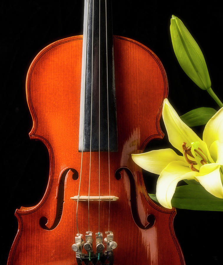 Violin And Lily Photograph by Garry Gay