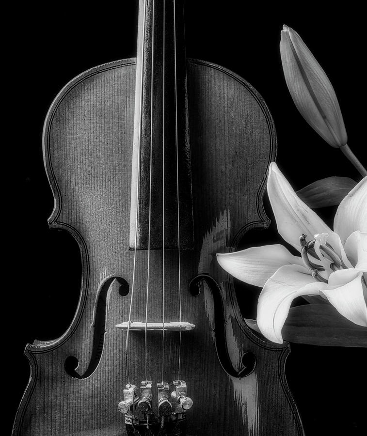 Violin And Lily In Black And White Photograph by Garry Gay