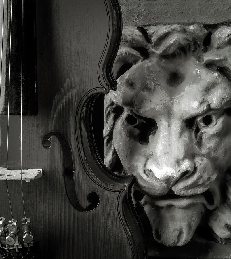Violin And Lion Face Black And White Photograph by Garry Gay