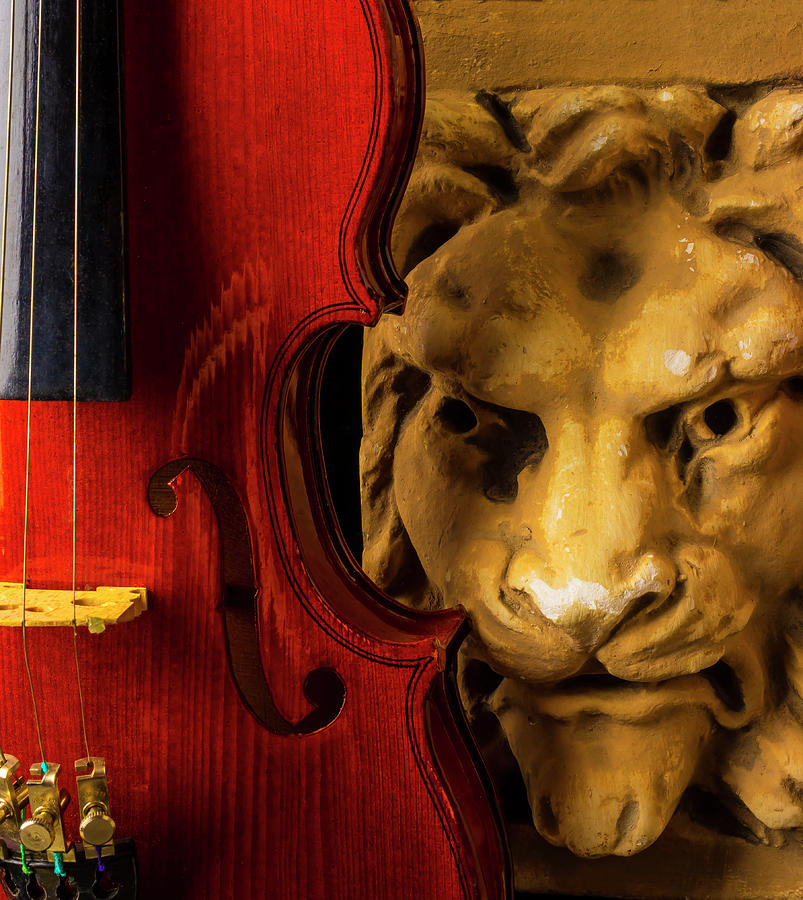 Violin And Lion Face Photograph by Garry Gay