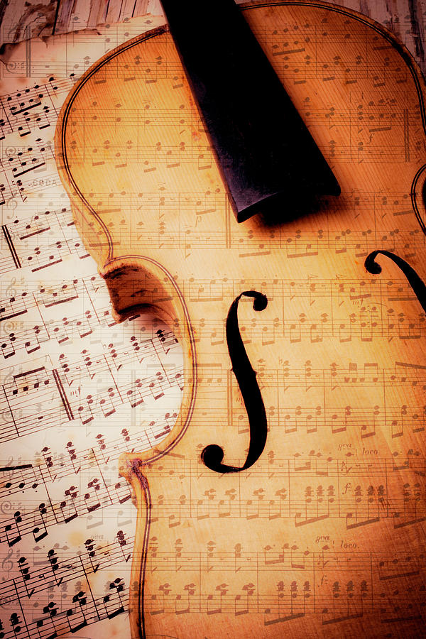 Music Photograph - Violin And Musical Notes by Garry Gay