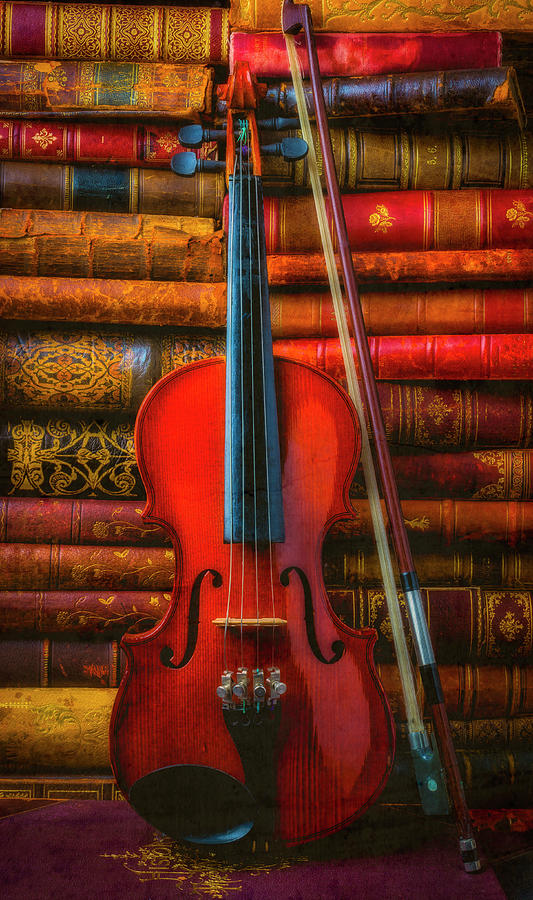 Violin And Old Books Photograph by Garry Gay