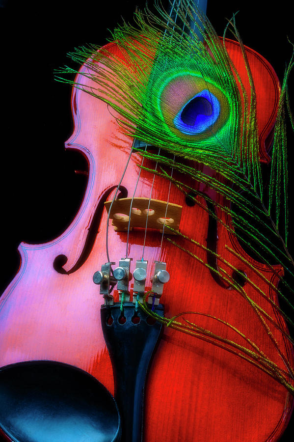 Violin And Peacock Feather Photograph by Garry Gay