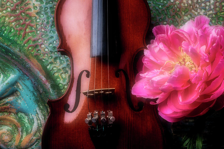 Violin And Peony Photograph by Garry Gay