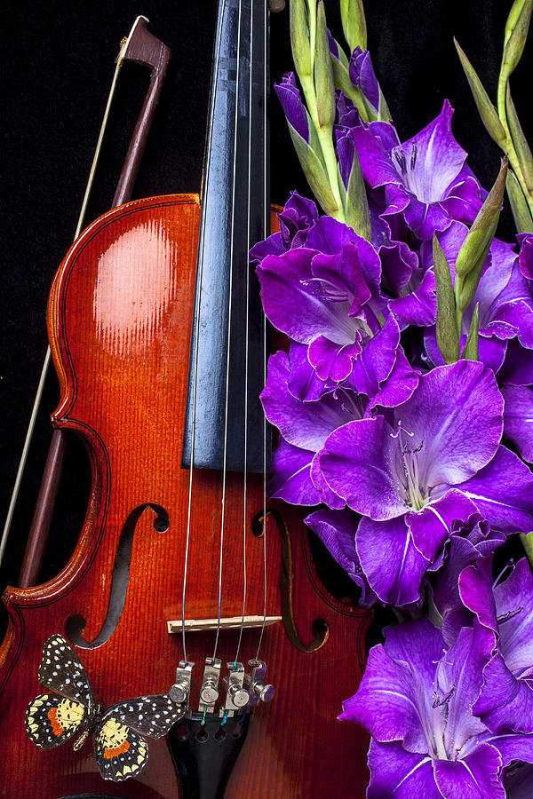 Violin Photograph - Violin and purple glads by Garry Gay