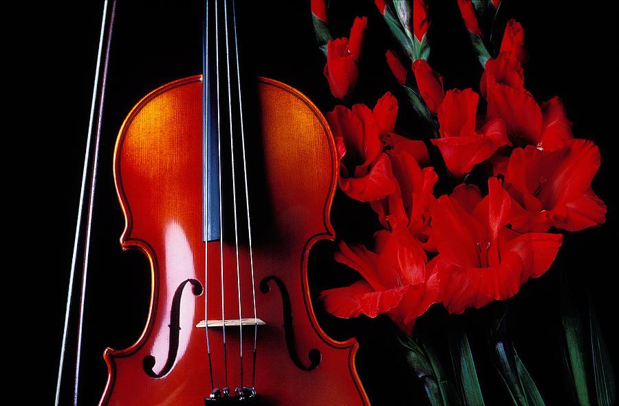 Violin Photograph - Violin and red gladiolus by Garry Gay