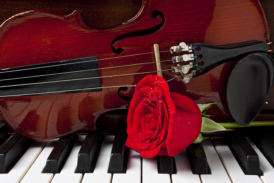 Violin and rose on piano Photograph by Garry Gay