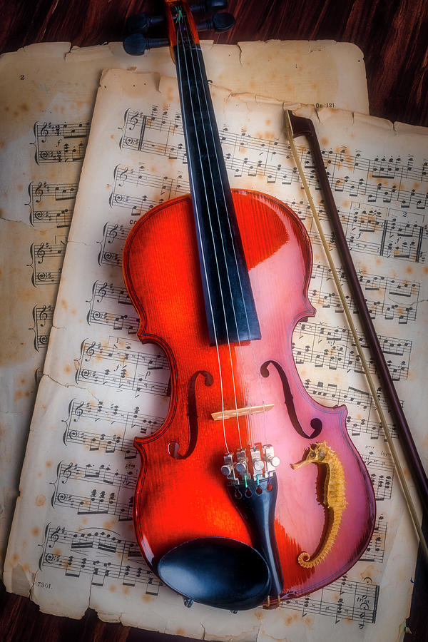 Violin And seahorse Photograph by Garry Gay