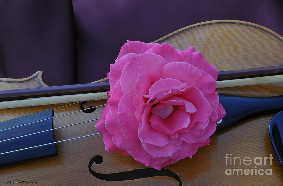 Violin and the Rose Photograph by Debby Pueschel