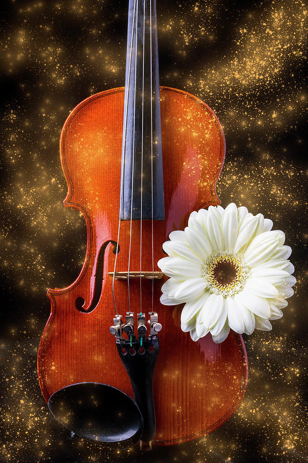 Violin And White Daisy Magic Photograph by Garry Gay
