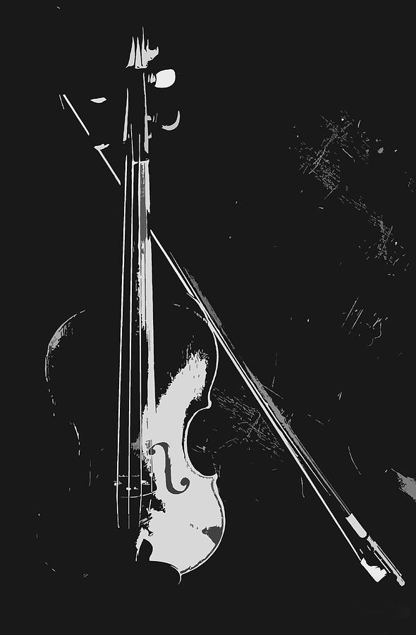 Violin bow black and white Photograph by Steve Somerville