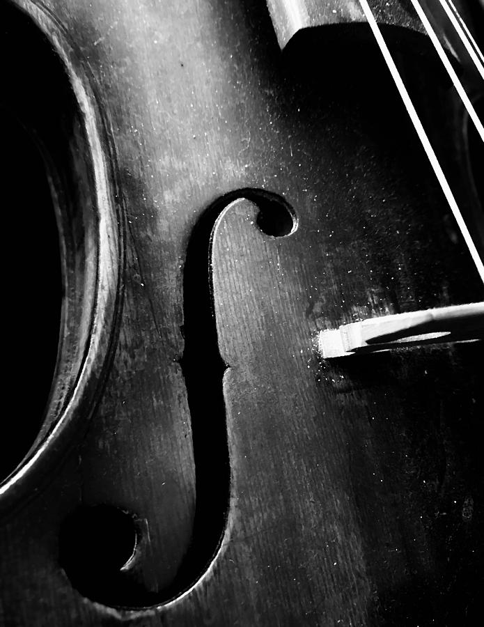 Violin Closeup 1 Photograph by Maxwell Krem