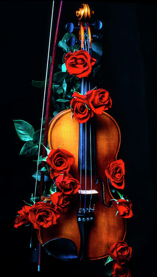 Violin Covered In Roses Photograph by Garry Gay
