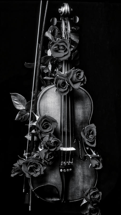 violin covered in roses In Black And White Photograph by Garry Gay