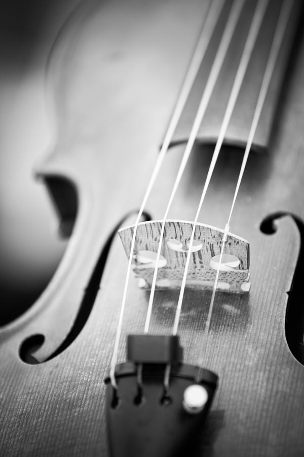 Music Photograph - Violin  by Edward Myers
