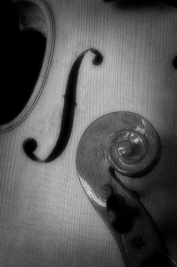 Violin F Hole And Scroll Photograph by Garry Gay