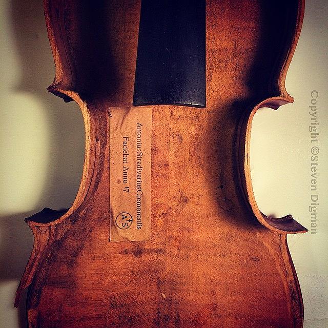 Violin Photograph -  Beauty on the Inside  by Steven Digman