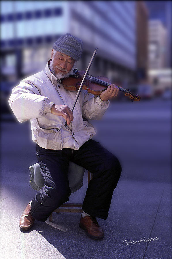 Violin Guy Photograph by Terri Harper