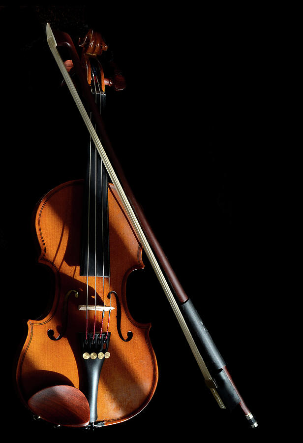 Violin in Light and Shadows Photograph by Perry Correll - Fine Art America