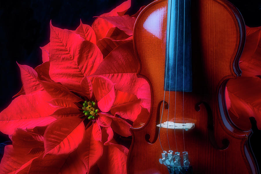 Violin In The Poinsettias Photograph by Garry Gay