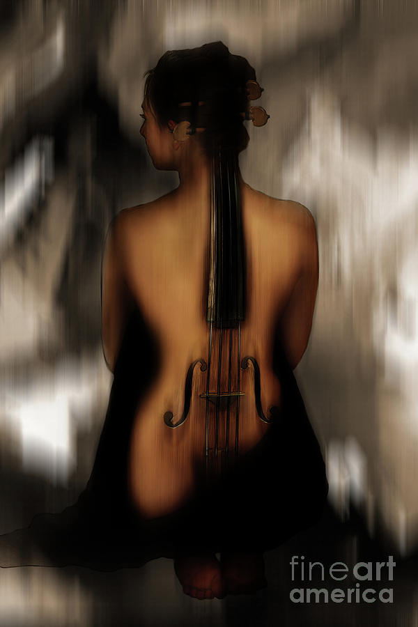Violin Lady 05 Painting by Gull G