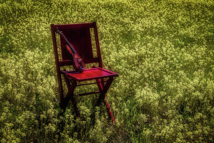 Violin On Old Red Chair Photograph by Garry Gay