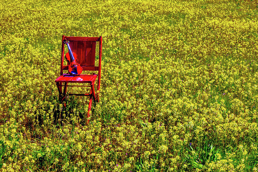Violin On Red Chair Photograph by Garry Gay